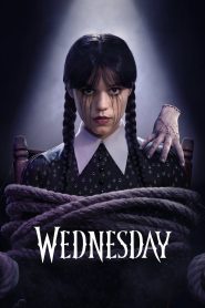 Wednesday